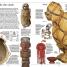 Aztec - thumbnail of spread image 1 Thumbnail image of Aztec - 1