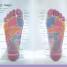 Complete Reflexology for Life - thumbnail of spread image 1 Thumbnail image of Complete Reflexology for Life - 1