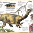 First Dinosaur Encyclopedia - thumbnail of spread image 1 Thumbnail image of First Dinosaur Encyclopedia - 1