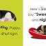 My Little Carry Book Puppies and Kittens - thumbnail of spread image 1 Thumbnail image of My Little Carry Book Puppies and Kittens - 1