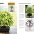 Bonsai - thumbnail of spread image 1 Thumbnail image of Bonsai - 1