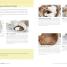 Baking - thumbnail of spread image 1 Thumbnail image of Baking - 1