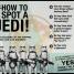DK Readers L3: Star Wars Rebels Fight the Empire - thumbnail of spread image 1 Thumbnail image of DK Readers L3: Star Wars Rebels Fight the Empire - 1