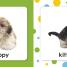 Squeaky Baby Bath: Baby Animals - thumbnail of spread image 1 Thumbnail image of Squeaky Baby Bath: Baby Animals - 1