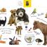 Tabbed Board Books: My First Animals - thumbnail of spread image 1 Thumbnail image of Tabbed Board Books: My First Animals - 1
