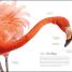 The Science of Animals - thumbnail of spread image 1 Thumbnail image of The Science of Animals - 1