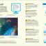 DK Workbooks: Coding with Scratch 3.0 Projects Workbook - thumbnail of spread image 2 Thumbnail image of DK Workbooks: Coding with Scratch 3.0 Projects Workbook - 2