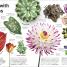 Trees, Leaves, Flowers & Seeds - thumbnail of spread image 1 Thumbnail image of Trees, Leaves, Flowers & Seeds - 1