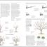 Pruning and Training - thumbnail of spread image 1 Thumbnail image of Pruning and Training - 1
