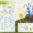 Disney Ideas Book - thumbnail of spread image 1 Thumbnail image of Disney Ideas Book - 1