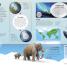 Utterly Amazing Earth - thumbnail of spread image 1 Thumbnail image of Utterly Amazing Earth - 1