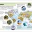 Pocket Eyewitness Science - thumbnail of spread image 1 Thumbnail image of Pocket Eyewitness Science - 1