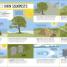 Survival for Beginners - thumbnail of spread image 1 Thumbnail image of Survival for Beginners - 1