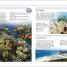 Pocket Eyewitness Earth - thumbnail of spread image 1 Thumbnail image of Pocket Eyewitness Earth - 1