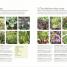 Grow All You Can Eat in 3 Square Feet - thumbnail of spread image 1 Thumbnail image of Grow All You Can Eat in 3 Square Feet - 1