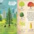 RHS The Magic and Mystery of Trees - thumbnail of spread image 2 Thumbnail image of RHS The Magic and Mystery of Trees - 2