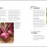 Veg in One Bed - thumbnail of spread image 1 Thumbnail image of Veg in One Bed - 1