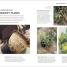 Beginner Gardening Step by Step - thumbnail of spread image 1 Thumbnail image of Beginner Gardening Step by Step - 1