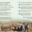 DK Readers L3: Hope for the Elephants - thumbnail of spread image 1 Thumbnail image of DK Readers L3: Hope for the Elephants - 1