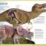 First Dinosaur Encyclopedia - thumbnail of spread image 1 Thumbnail image of First Dinosaur Encyclopedia - 1