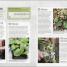 Grow Something Different To Eat - thumbnail of spread image 1 Thumbnail image of Grow Something Different To Eat - 1
