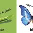 Baby Touch and Feel: Colors and Shapes - thumbnail of spread image 1 Thumbnail image of Baby Touch and Feel: Colors and Shapes - 1