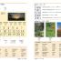 Hindi-English Bilingual Visual Dictionary - thumbnail of spread image 1 Thumbnail image of Hindi-English Bilingual Visual Dictionary - 1