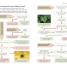 Garden Rescue - thumbnail of spread image 1 Thumbnail image of Garden Rescue - 1
