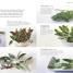 Herbs & Spices - thumbnail of spread image 2 Thumbnail image of Herbs & Spices - 2
