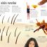 Utterly Amazing Human Body - thumbnail of spread image 1 Thumbnail image of Utterly Amazing Human Body - 1