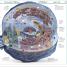 Knowledge Encyclopedia - thumbnail of spread image 2 Thumbnail image of Knowledge Encyclopedia - 2