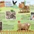 100 Events That Made History - thumbnail of spread image 3 Thumbnail image of 100 Events That Made History - 3