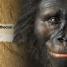 Evolution The Human Story - thumbnail of spread image 1 Thumbnail image of Evolution The Human Story - 1