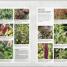 Grow Something Different To Eat - thumbnail of spread image 2 Thumbnail image of Grow Something Different To Eat - 2