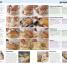 The Illustrated Kitchen Bible - thumbnail of spread image 1 Thumbnail image of The Illustrated Kitchen Bible - 1