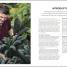 Grow Food for Free - thumbnail of spread image 1 Thumbnail image of Grow Food for Free - 1