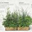 The Herb Garden for Cooks - thumbnail of spread image 1 Thumbnail image of The Herb Garden for Cooks - 1