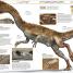 Knowledge Encyclopedia Dinosaur! - thumbnail of spread image 3 Thumbnail image of Knowledge Encyclopedia Dinosaur! - 3