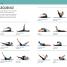 Pilates Body in Motion - thumbnail of spread image 1 Thumbnail image of Pilates Body in Motion - 1