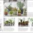 RHS Practical Cactus and Succulent Book - thumbnail of spread image 1 Thumbnail image of RHS Practical Cactus and Succulent Book - 1