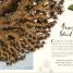 The Wonders of Nature - thumbnail of spread image 2 Thumbnail image of The Wonders of Nature - 2
