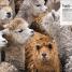 Animal Antics - thumbnail of spread image 2 Thumbnail image of Animal Antics - 2