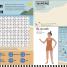 At the Seaside Activity Book - thumbnail of spread image 1 Thumbnail image of At the Seaside Activity Book - 1