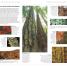 DK Eyewitness Pacific Northwest - thumbnail of spread image 1 Thumbnail image of DK Eyewitness Pacific Northwest - 1