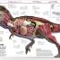 Knowledge Encyclopedia - thumbnail of spread image 2 Thumbnail image of Knowledge Encyclopedia - 2