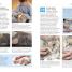 101 Essential Tips: Cat Care - thumbnail of spread image 1 Thumbnail image of 101 Essential Tips: Cat Care - 1
