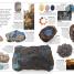 Crystal & Gem - thumbnail of spread image 1 Thumbnail image of Crystal & Gem - 1