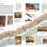 DK Eyewitness Travel Guide India - thumbnail of spread image 1 Thumbnail image of DK Eyewitness Travel Guide India - 1