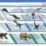 Dinosaurios - thumbnail of spread image 1 Thumbnail image of Dinosaurios - 1