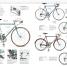 Bicycle - thumbnail of spread image 1 Thumbnail image of Bicycle - 1